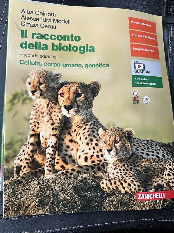Libri: Libri scolastici  – Nuovo e nell'imballaggio originale da Riva San Vitale venduto da Samantha78