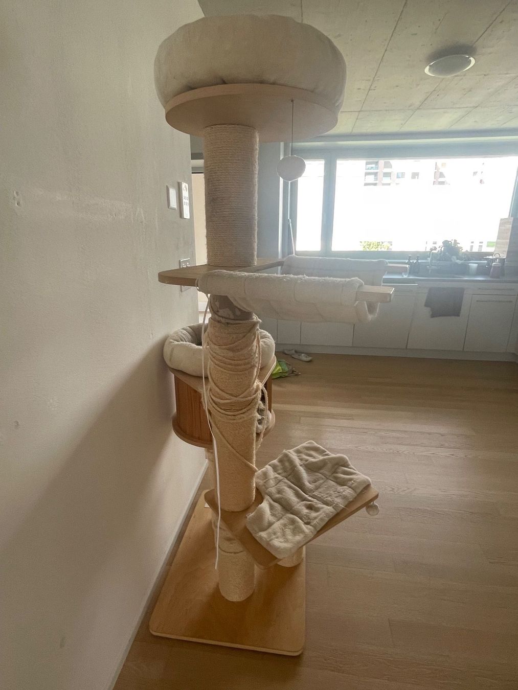 Arbres à chats: Kratzbaum 175 cm hoch – D'occasion à Wallisellen par JennyMayfair 1
