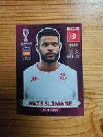 Panini WM 2022-TUN 17