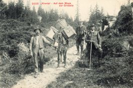 Kiental   BE  -    Maultier - Transport nach Griesalp