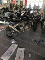 Motorrad Kawasaki z 750