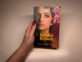 ROMAN: Sandra Brown, Eine sündige Nacht