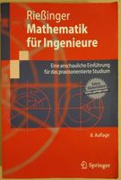 Mathematik für Ingenieure – Thomas Rießinger