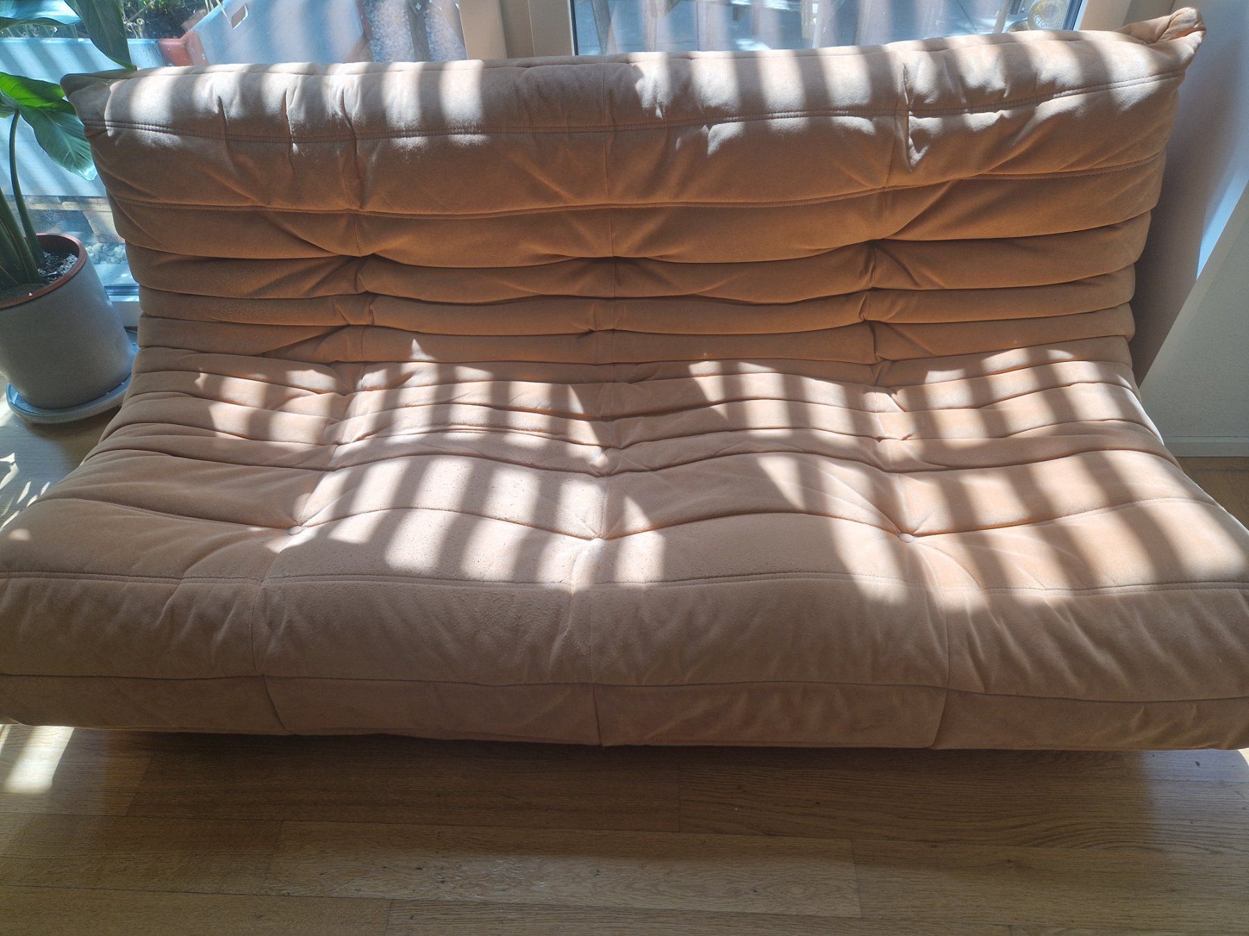Ligne Roset Divani: Ducaroy ligne roset sofa 2 sitzer – Usato da Zürich venduto da suchasurf 1