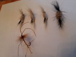 5 Trockenfliegen Besondere Art, GRATIS VERSAND!!!!