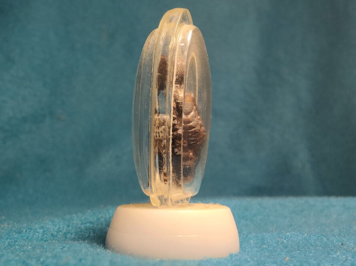 Ciondoli: Thai Buddha Amulett (Nr. 27345) – Usato da Rothrist venduto da SiddharthaMoon 3