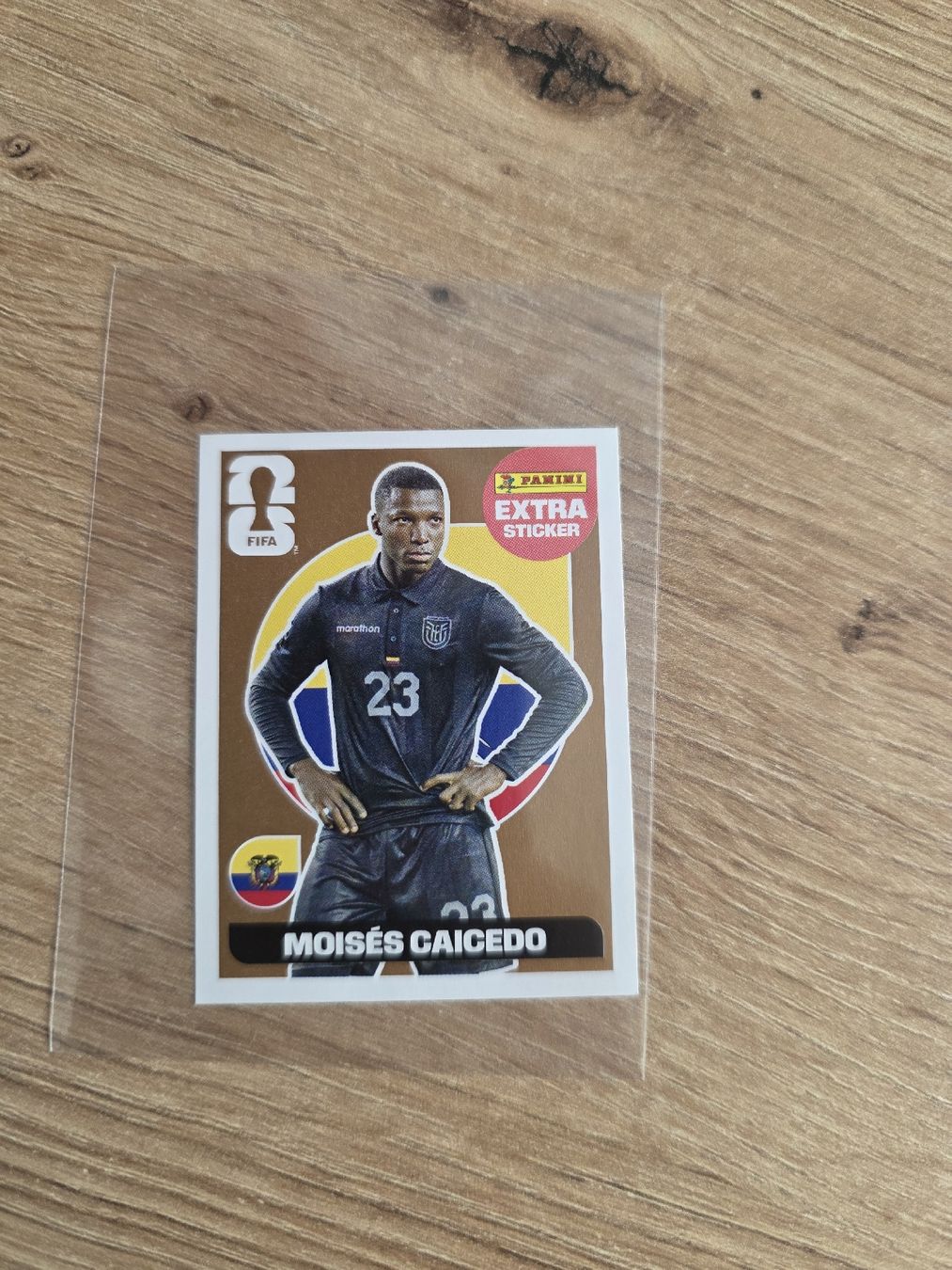 Panini Carte collezionabili: Panini FIFA Extra Sticker: Moises Caicedo WM 2026 – Usato da Lausen venduto da Loran13 2
