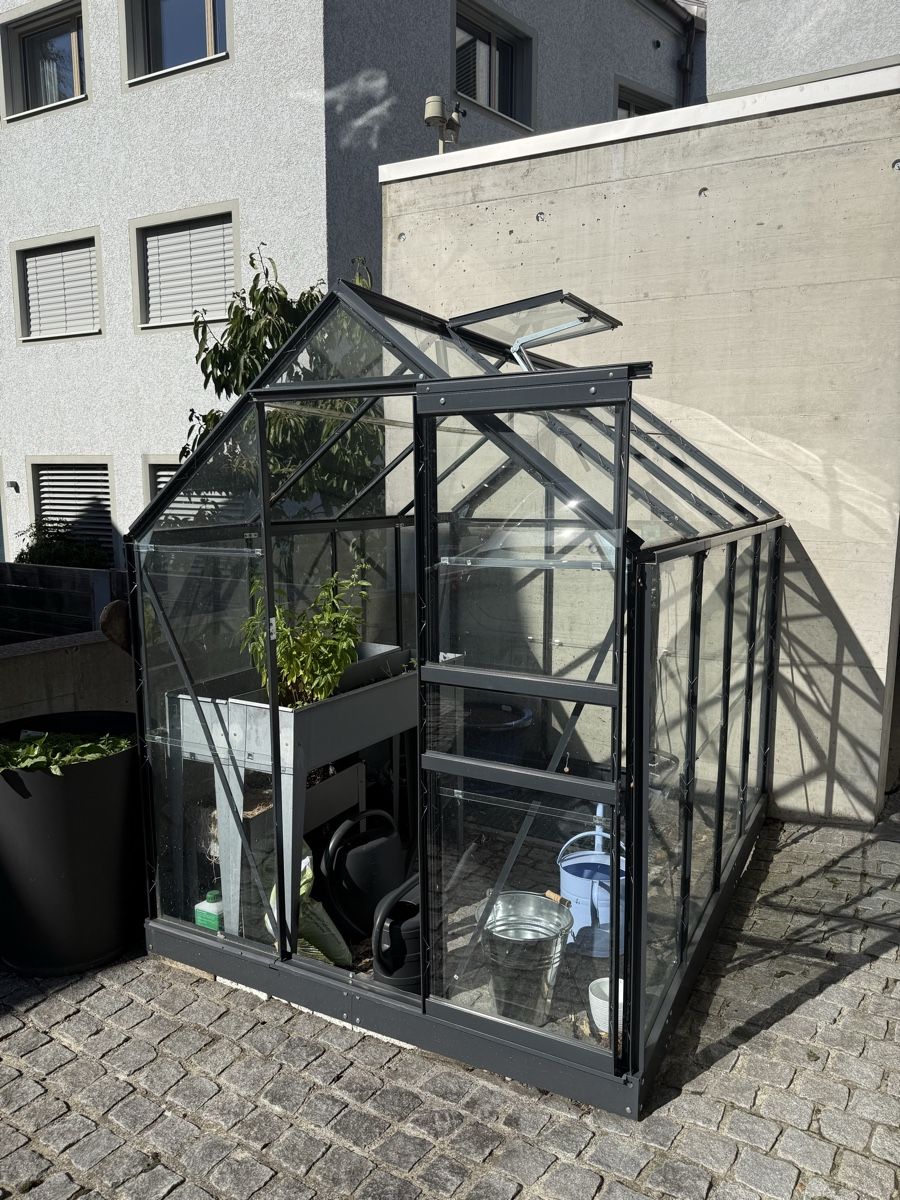 Casette da giardino & serre: Gewächshaus Glas – Usato da Thal venduto da Strigelgass 1