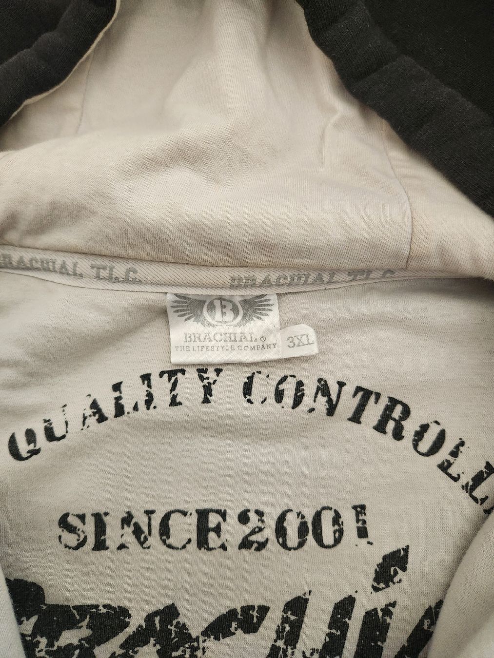 Maglioni & Felpe: Hoodie Brachial – Usato da Rheinfelden venduto da Roman5000 1