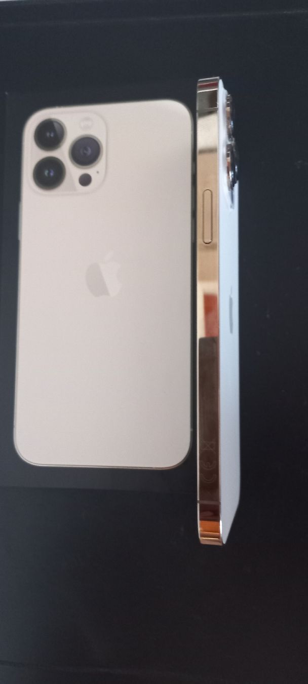 Apple Telefoni cellulari / Smartphones: iPhone13 ProMax 128GB – Usato da Safenwil venduto da Jvinternet 1
