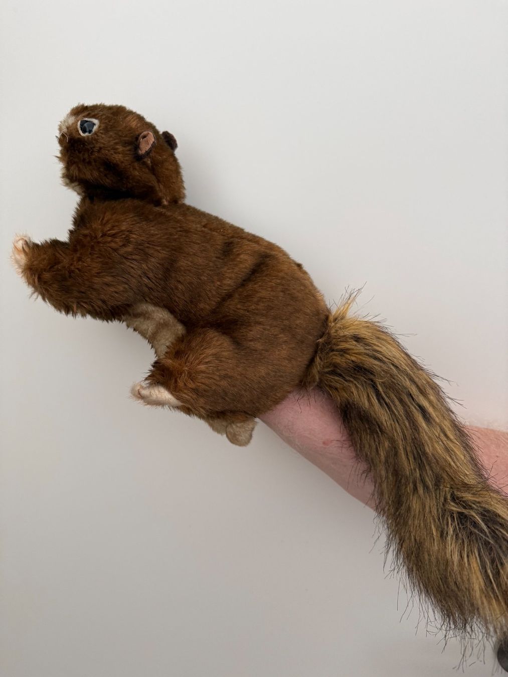 Giocattoli: Folkmanis Handpuppe rotbraunes Eichhörnchen – Usato da Winterthur venduto da brittalili