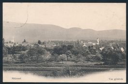 AK: Miécourt (Vue Générale)
