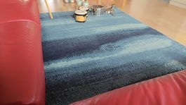 Ikea Sönderöd Langfloorteppich 170x240cm