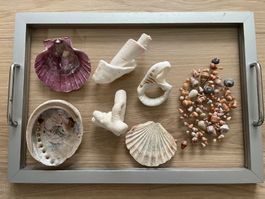 Muscheln als Deko für Blumengesteck, Tischdeko,Basteln
