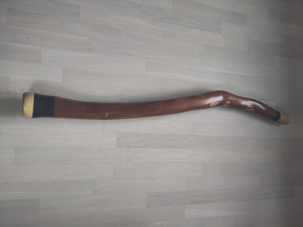 Didgeridoo aus Schweizer Zwetschgenholz Kaufen auf Ricardo