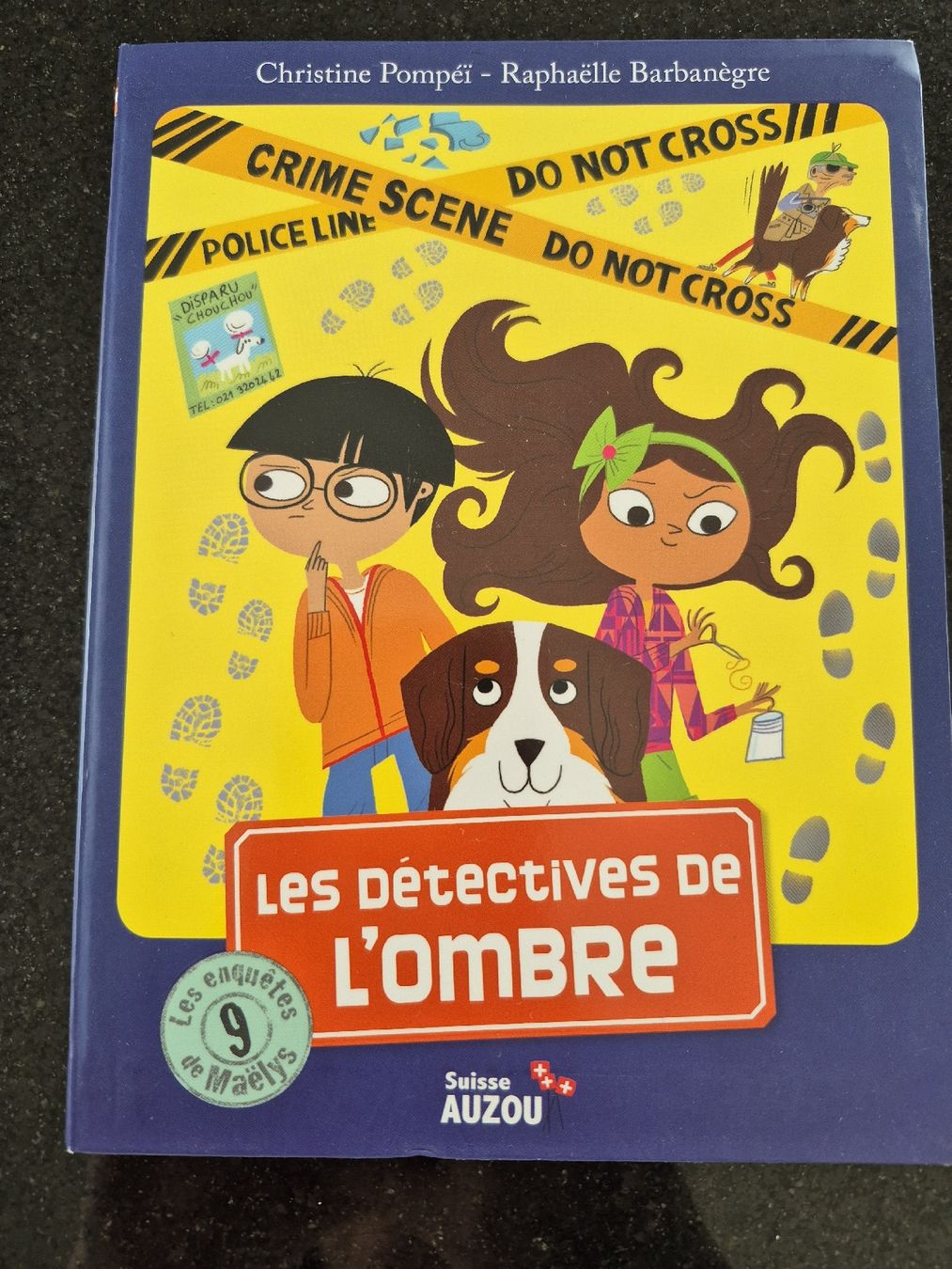Libri: Les enquêtes de Maëlys n°9 – Usato da Belmont-Yverdon venduto da jul_8nw5