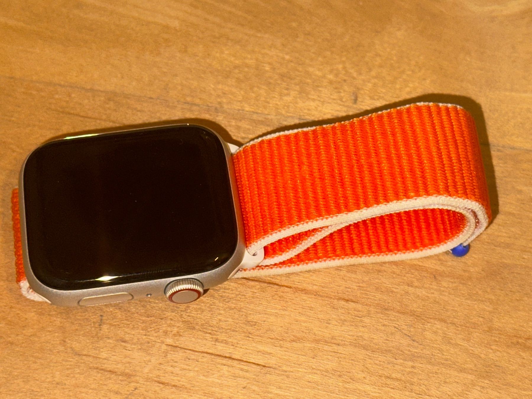 Apple Smartwatch: Apple Watch SE 44mm – Usato da Wiesendangen venduto da mgossweiler 2