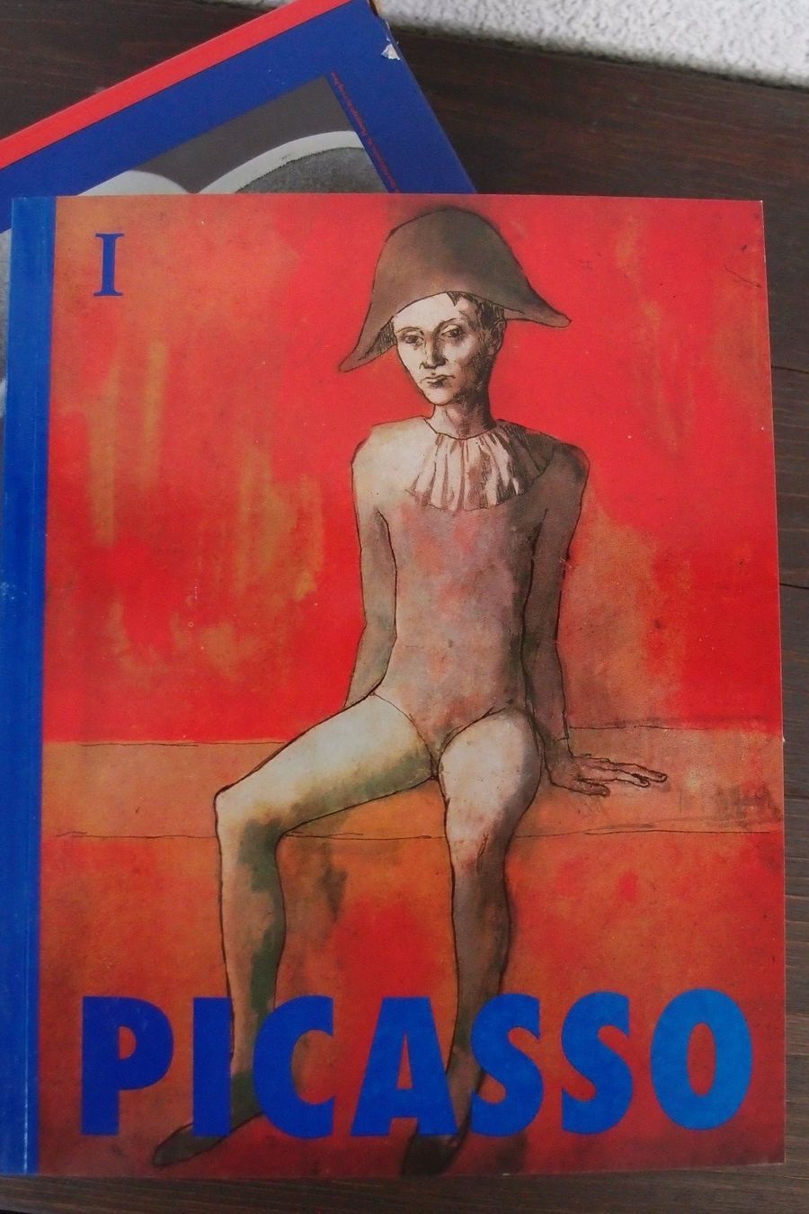 Kunst & Kultur: Kunstbücher: Zweierband, Picasso – Gebraucht aus Uster von  3