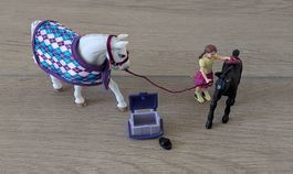 Schleich soins des cheveaux 72130