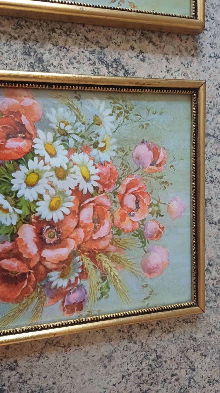 Foto & Immagini: 2 Schöne Blumenbilder – Usato da Flawil venduto da Pinkmalibu 2