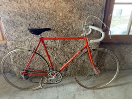 Vélo de course Mondia Vintage - Toujours en forme!