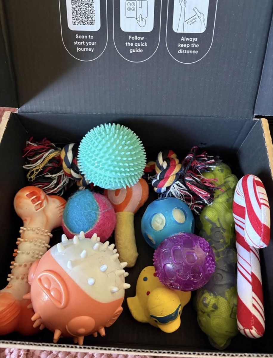 Spielzeuge: Hunde Spielzeug Set  – Gebraucht aus Uster von Jessicajjk 1