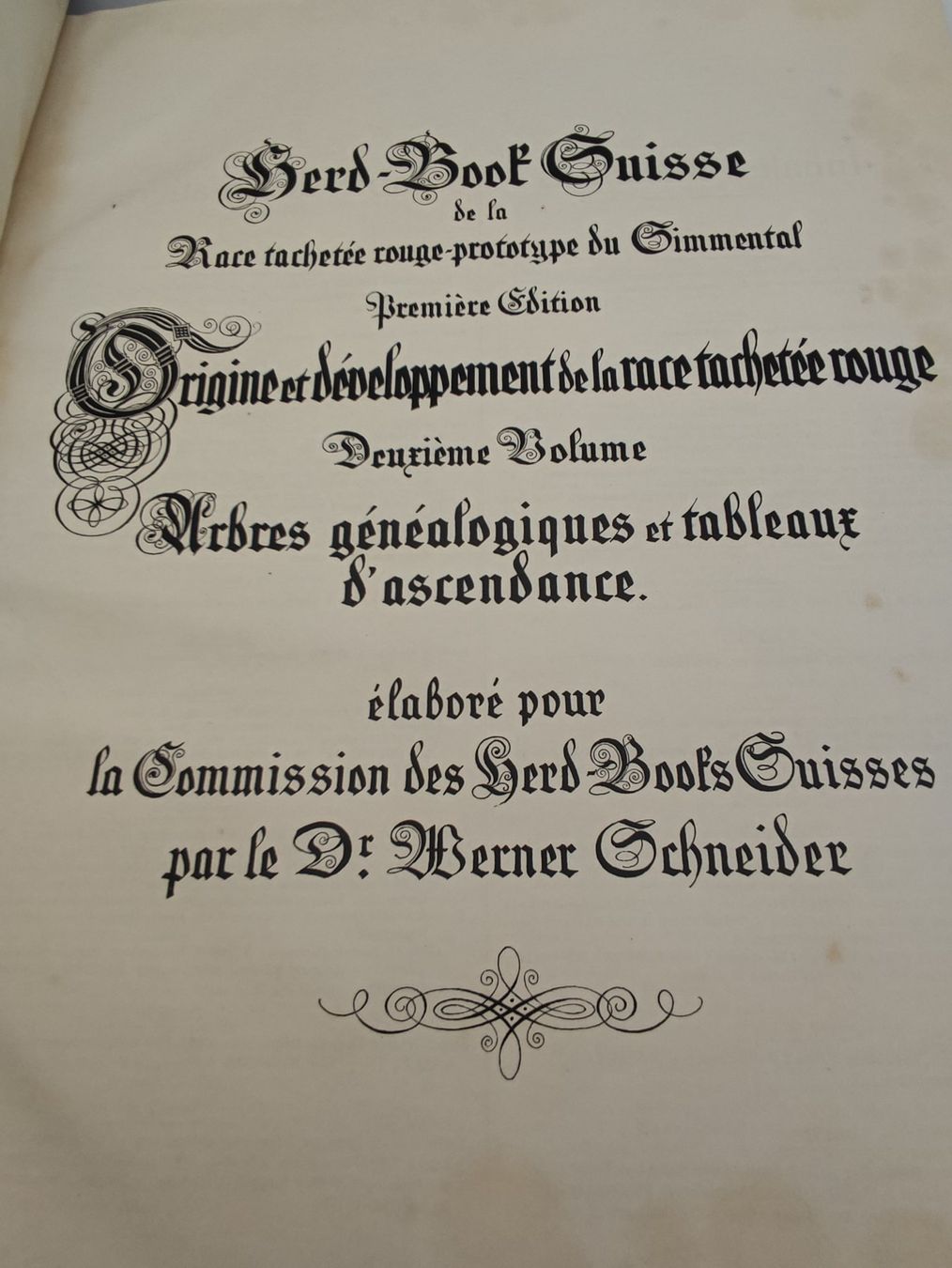 Libri: SCHWEIZERISCHES STAMMZUCHTBUCH – Usato da Goldach venduto da Gaip 3