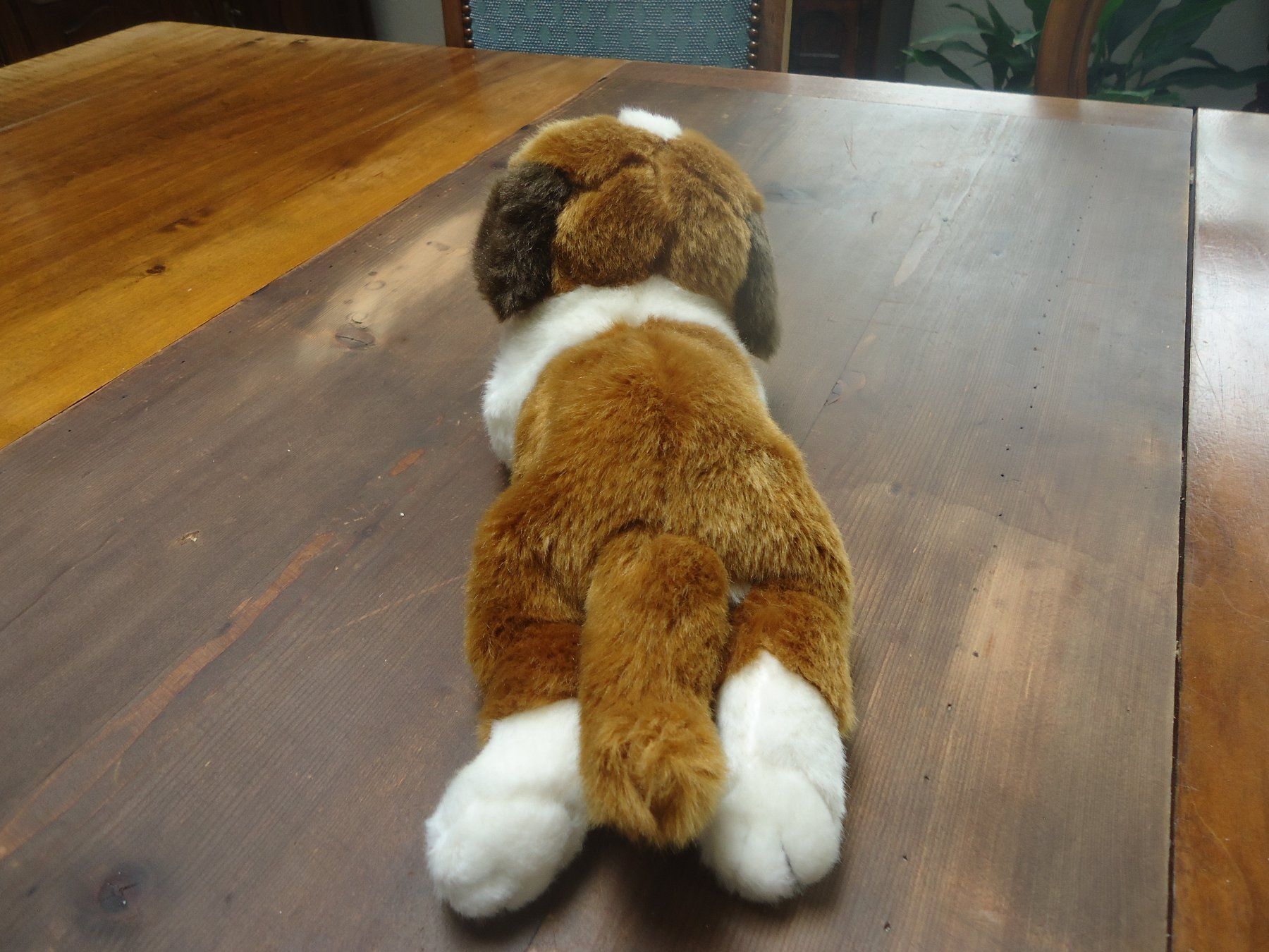 Giocattoli: Peluche de chiot Saint-Bernard couché endormi - Neuve – Nuovo (secondo la descrizione) da Vessy venduto da mafabe 3