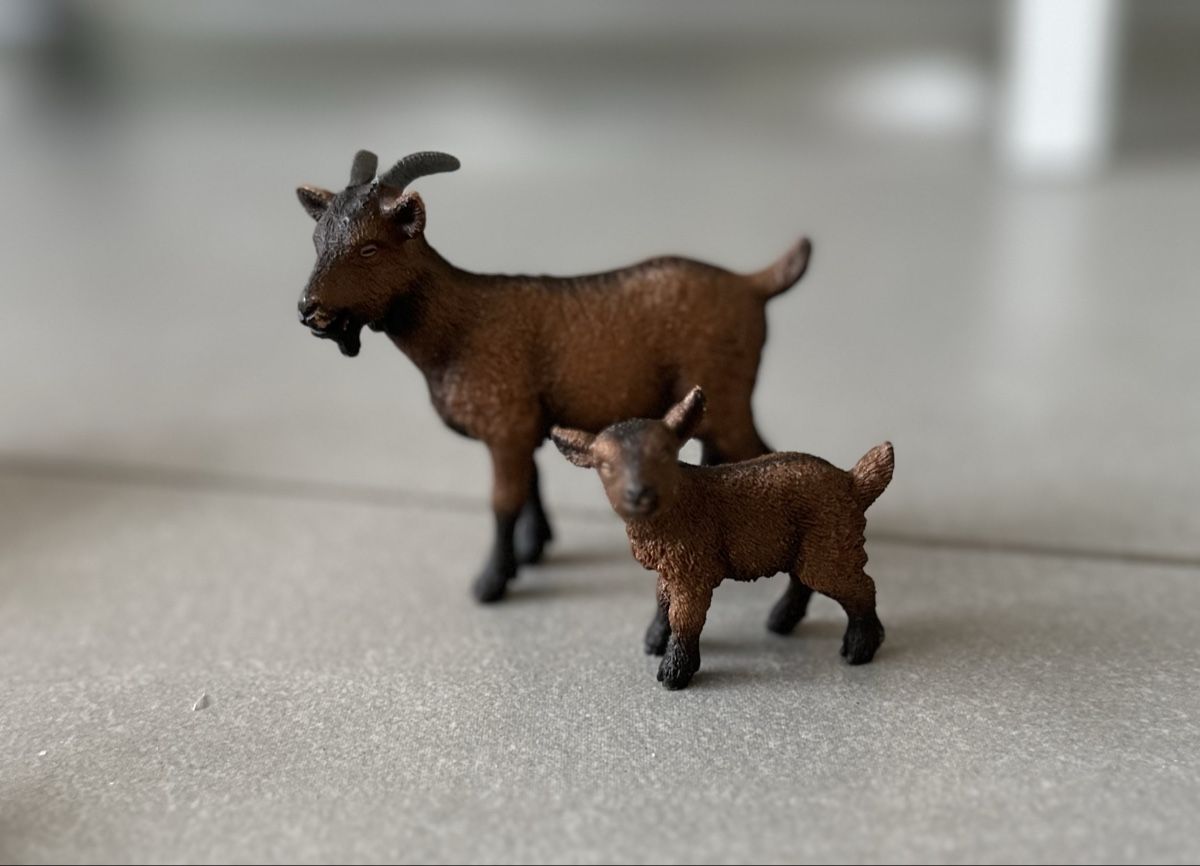 Schleich Giocattoli: Schleich Tiere – Usato da Fislisbach venduto da TamaCh81 6