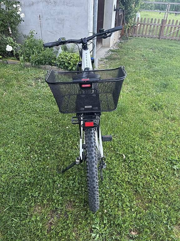 Bulls Biciclette: E Bike Bulls Aminga EVA 2 – Usato da Marbach SG venduto da Dala97 2