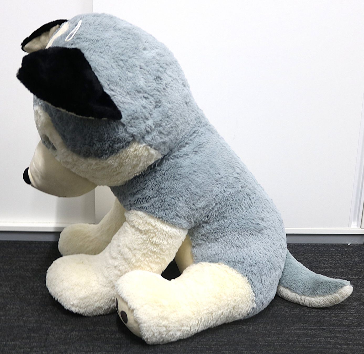 Jouets: Grosser Plüsch-Husky – D'occasion à Volketswil par brockipfannenstil 2