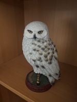 Hedwig Statue von Harry Potter