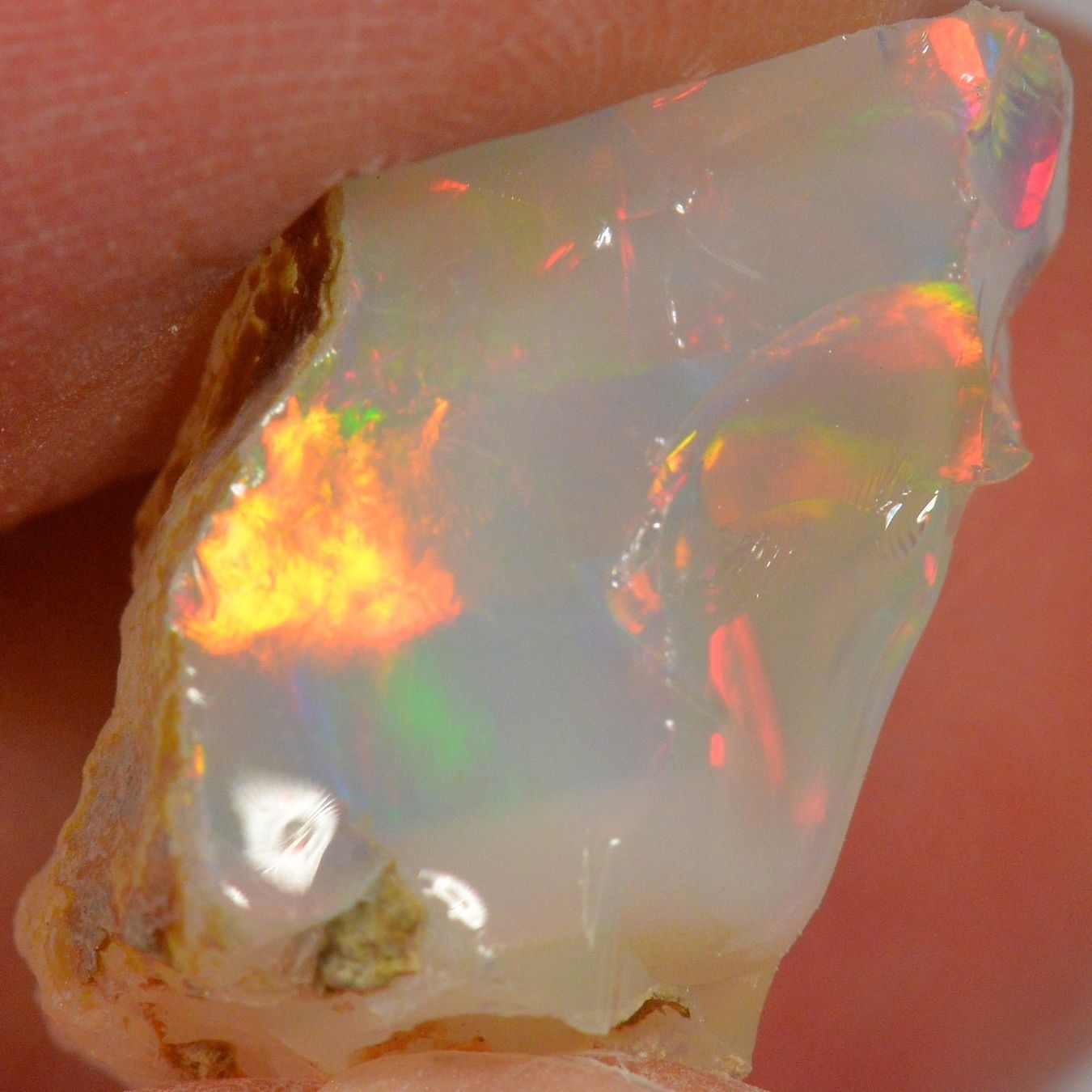 Pietre preziose: 11.1 Karat - Roher Äthiopischer Welo Opal – Nuovo (secondo la descrizione) da Rüti ZH venduto da DeinOpal 2