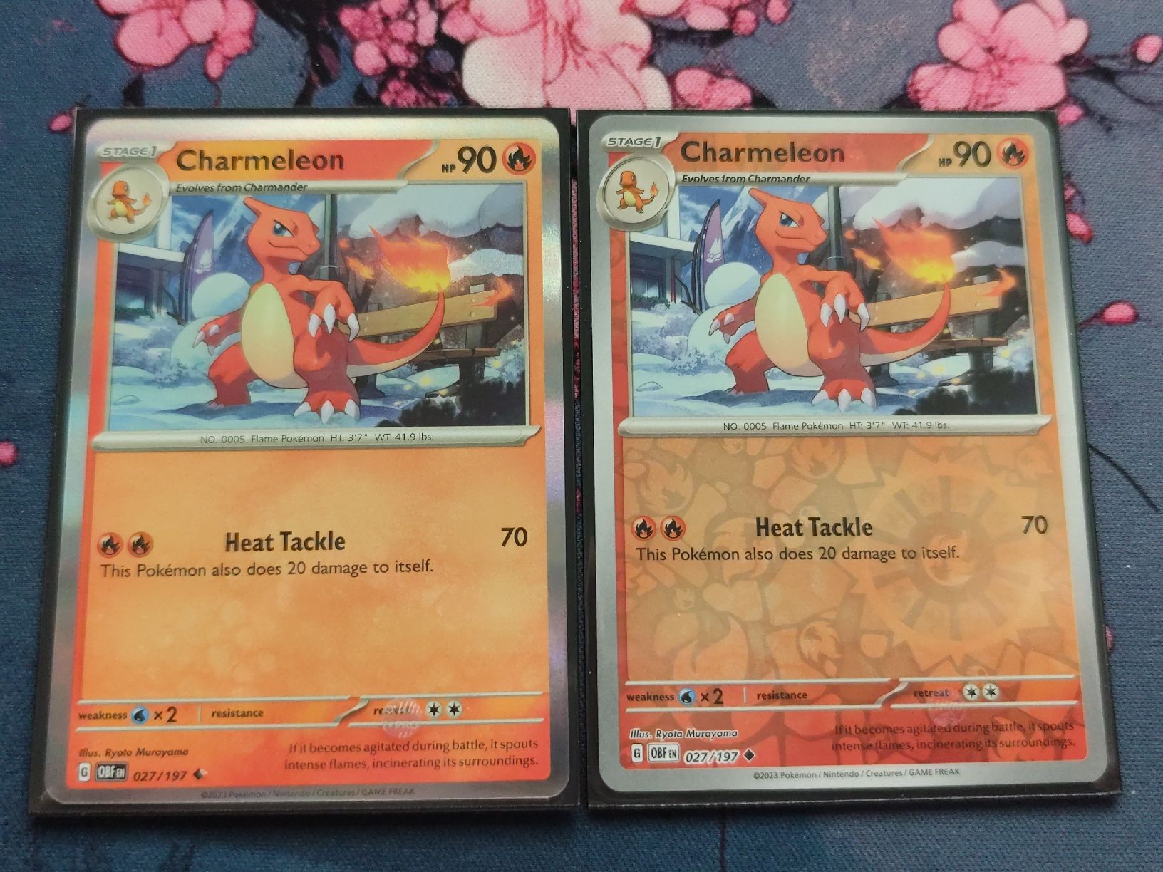 Pokémon Carte collezionabili: Pokemon Charmeleon Obsidian Flames EN – Nuovo (secondo la descrizione) da Schlossrued venduto da LAP2012