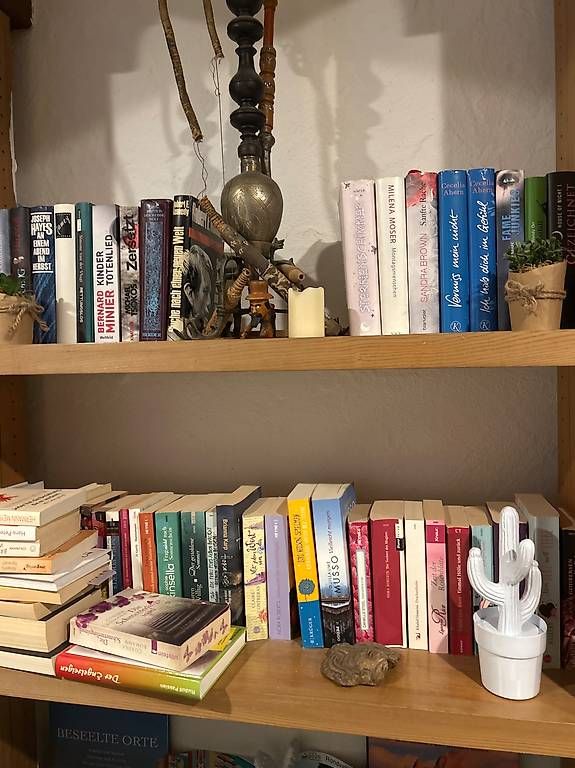 Libri: Viele Bücher – Usato da Ehrendingen venduto da Gintonic1991 3