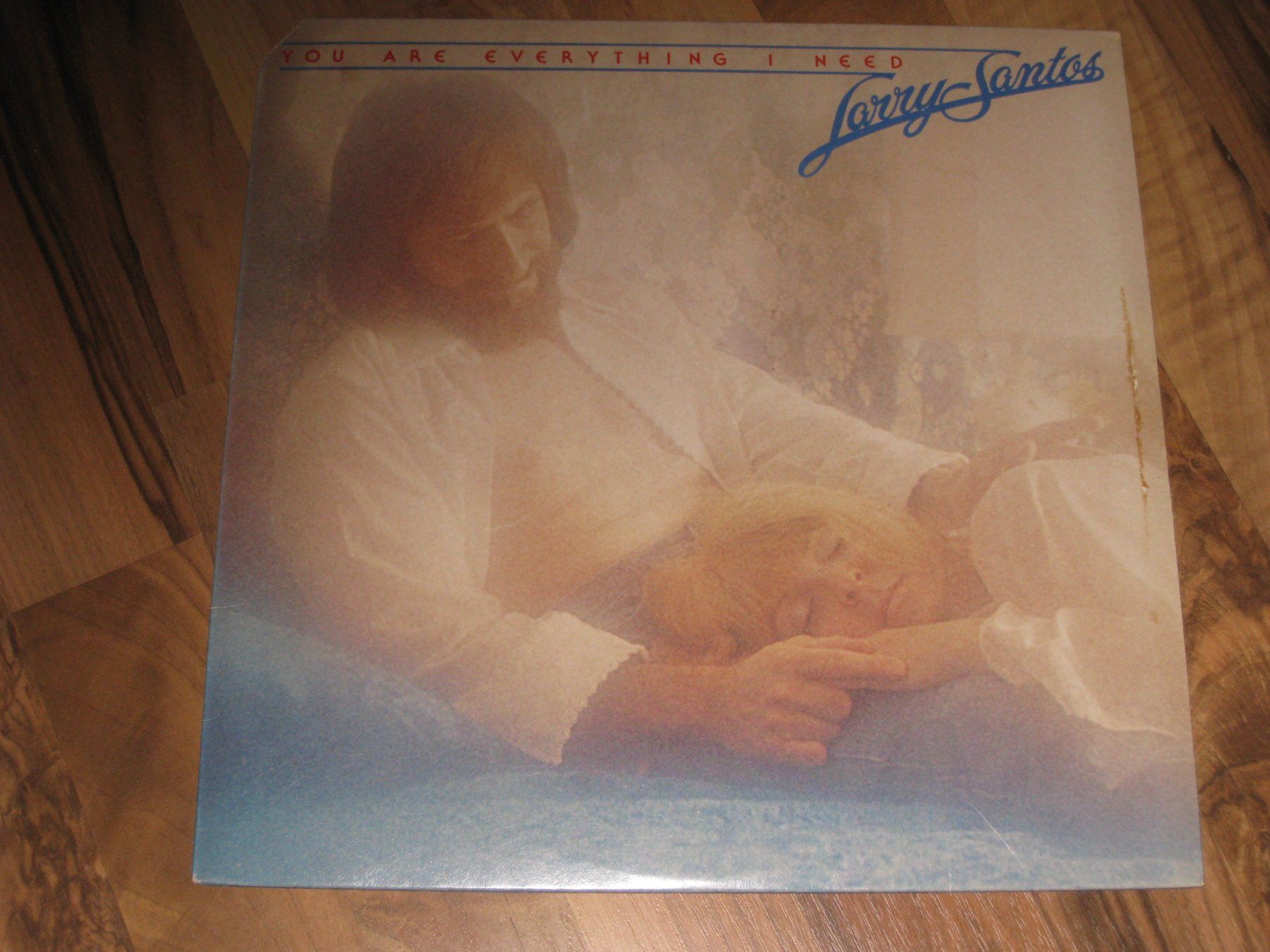 Vinyles: LP - LARRY SANTOS - YOU ARE EVERYTHING I NEED – D'occasion à Steckborn par Quo7