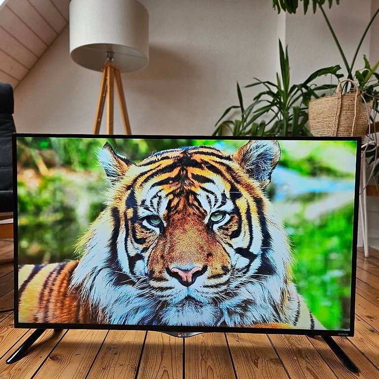 LG Televisori: LG 4K-TV  42 Zoll – Usato da Olten venduto da -Enzian- 1