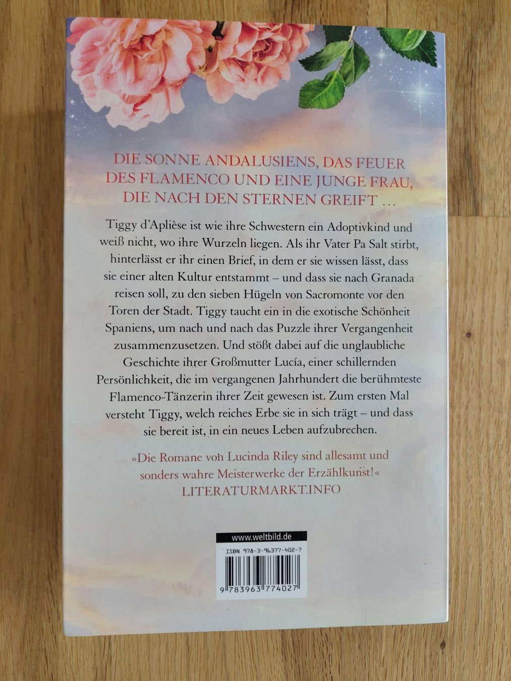 Libri: Lucinda Riley - Die Mondschwester – Usato da Zürich venduto da cschmid92 1