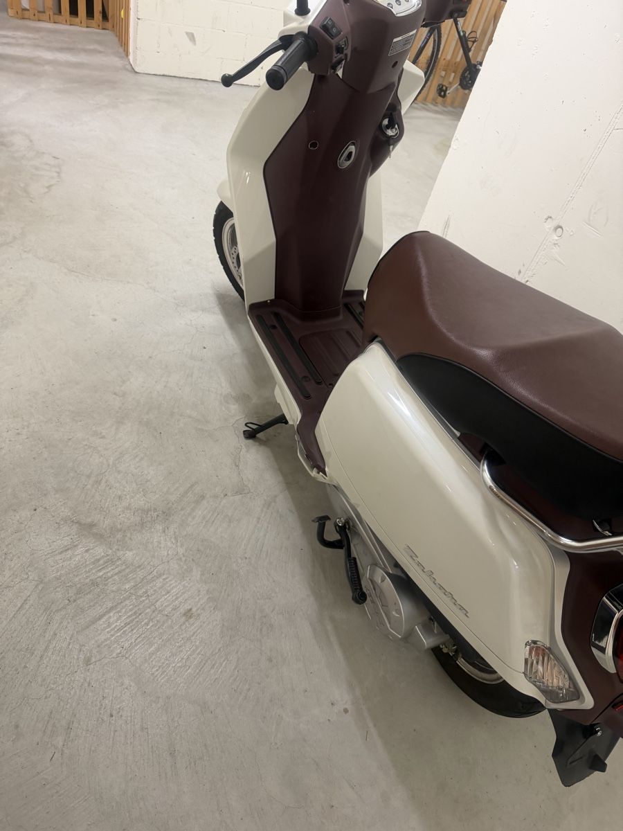 Tell Scooters: Tell Zahara 125i – Gebraucht aus Regensdorf von mex5145 4