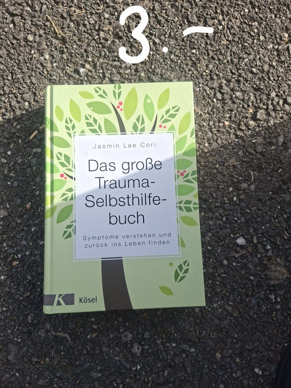 Livres: Buch: Das grosse Trauma-Selbsthilfebuch – D'occasion à Schmiedrued par lau_5zch
