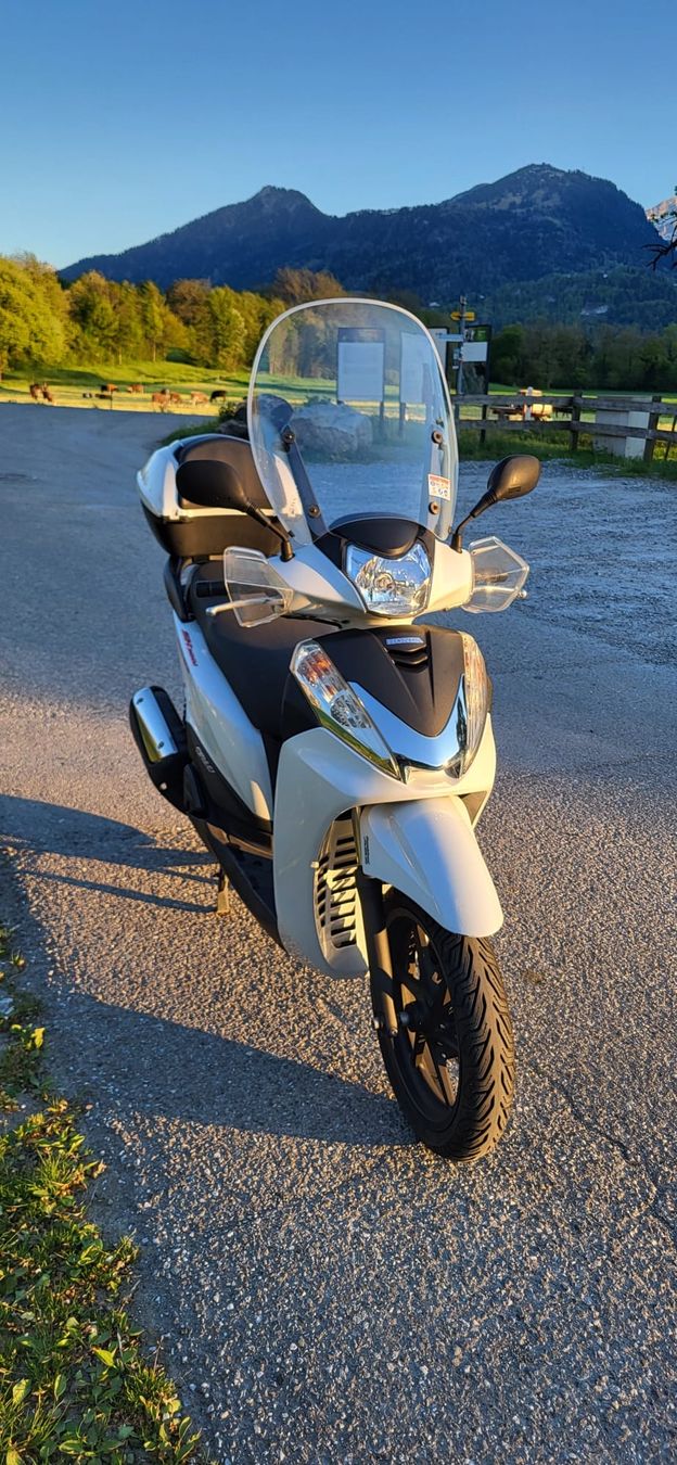 Honda Strada: Honda Sh300 – Usato da Bad Ragaz venduto da 123_432 1