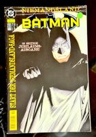 Batman Niemandsland Jubiläumsausgabe DC Comic Top Zustand!