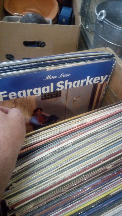 Schallplatten: 🎶 Schallplatten Sammlung - Vinyl Raritäten Entdecken! 🎶 – Gebraucht aus Belp von Guadalupe84 9