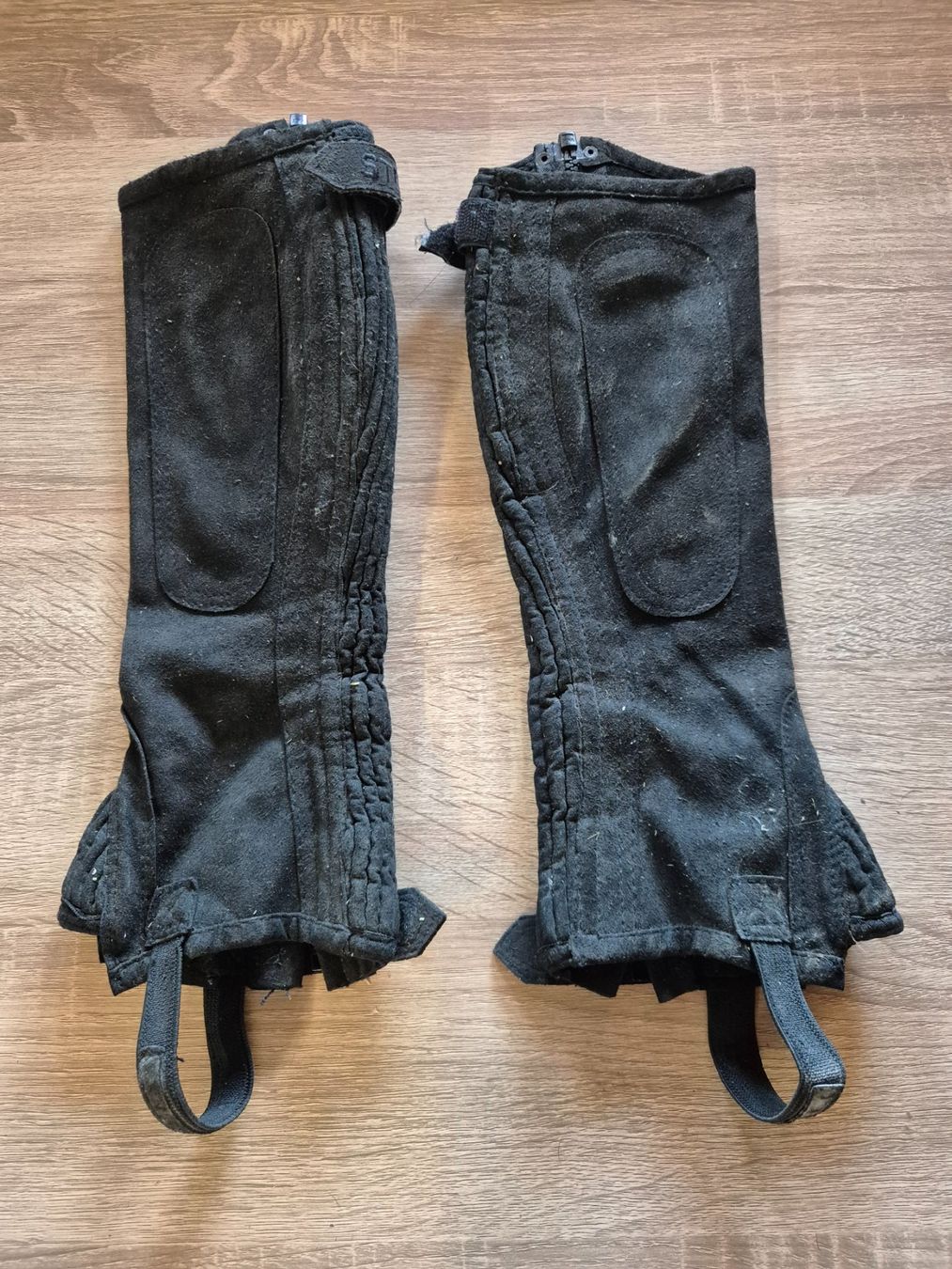 Brides, licols: Chaps KM – Neuf (Voir description) à Meggen par Orrinka20 1