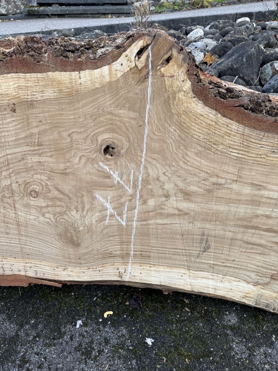 Articoli in legno: XXL - Tischplatte aus einem Stück - massive Baumscheibe – Usato da Gränichen venduto da onkel_xxl 3