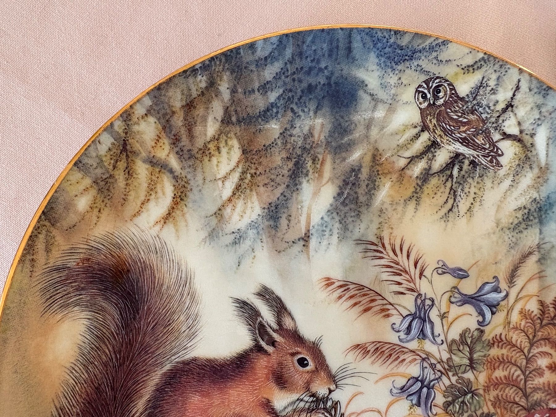 Piatti: Sammelteller mit Eichhörnchen Motiv, Herbstdeko, Top! – Usato da Lausanne venduto da opi_92cn 5
