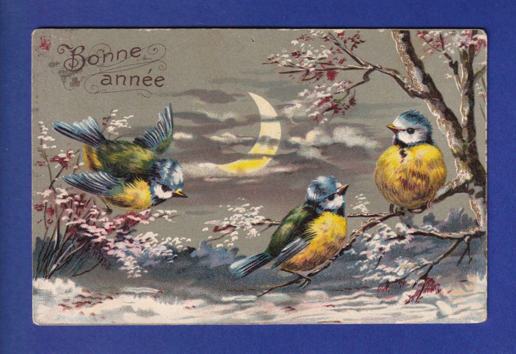 Cartoline postali: OISEAU - Mésanges - Bonne Année – Usato da Pully venduto da nicecards-shop