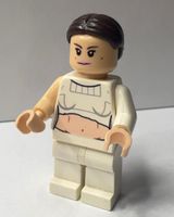 LEGO Star Wars Padmé Amidala - Geonosis Arena (SW0490)