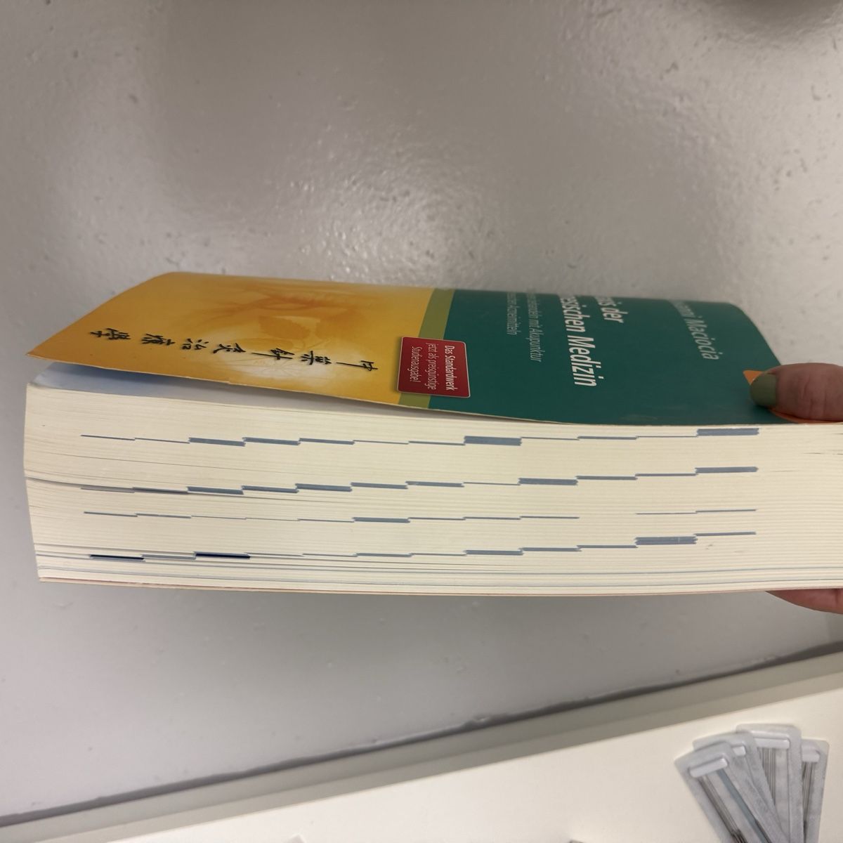 Bücher: Praxis der chinesischen Medizin Buch – Gebraucht aus Oberrohrdorf von jane015 1