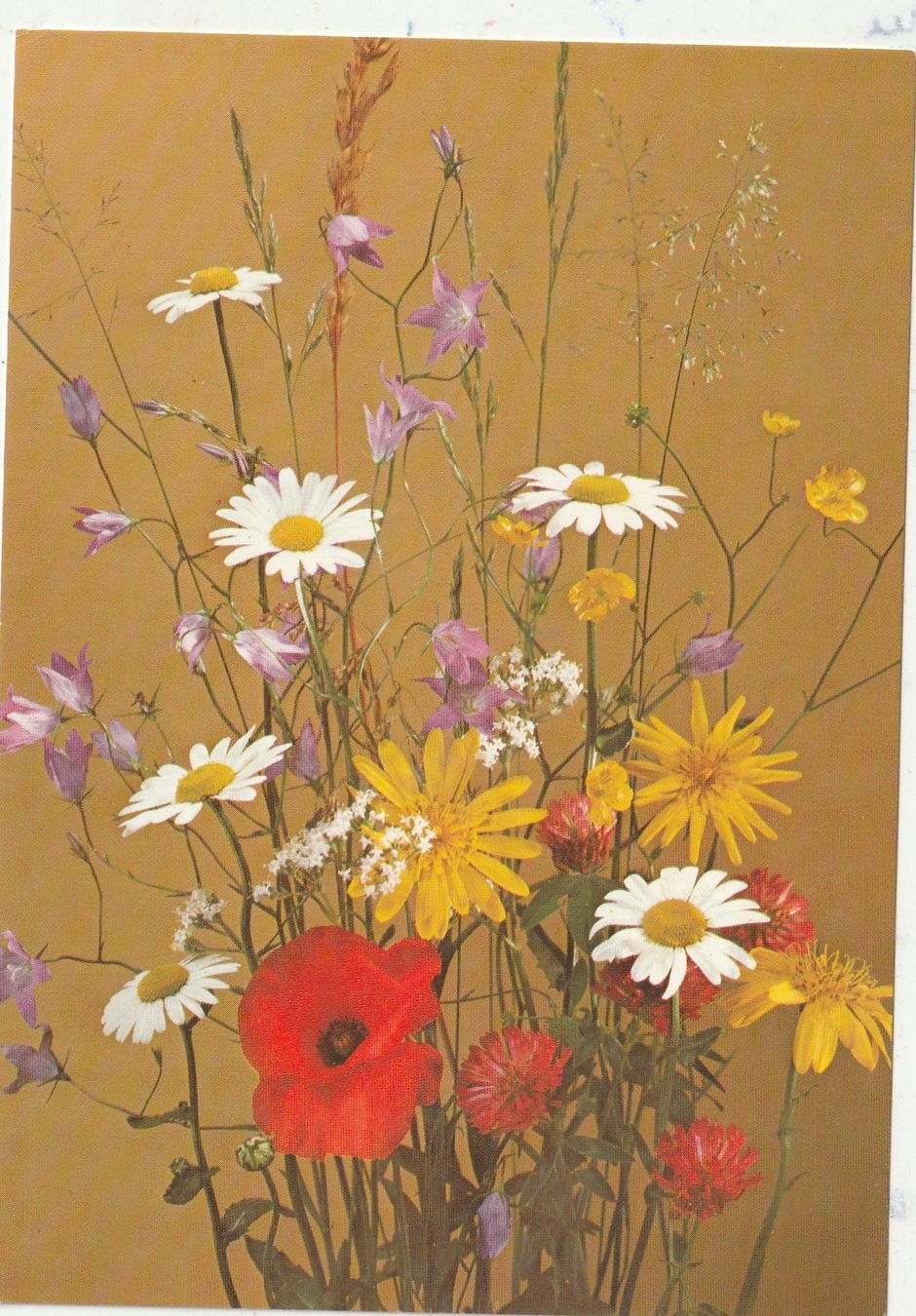 Cartoline postali: Blumenkarte – Usato da Lumbrein venduto da made02